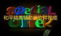 和平精英辅助器软件视频